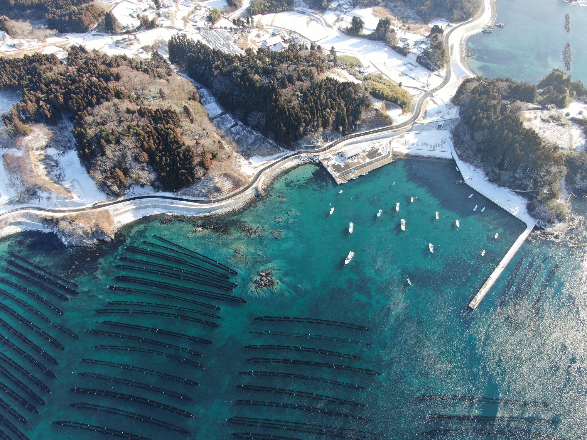 「SEED TO TABLE~昆布のテロワール。産地の違いを解剖~」produced by  メメメ