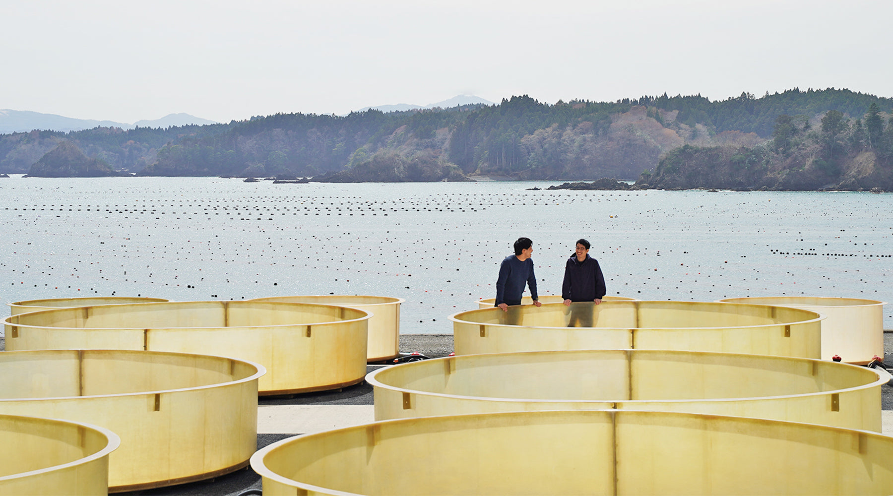 海藻を、陸（おか）で育てます。